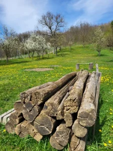 Bodónia vendégház hátső kert gerenda